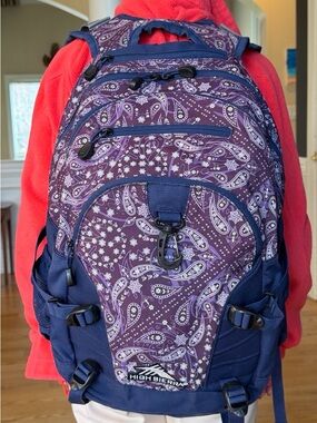 High Sierra Y2K Outdoor Core Backpack Purple/Blue Paisley Utility Bag
